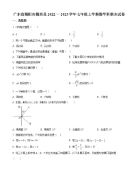 广东省揭阳市揭西县2022一2023学年七年级上学期数学科期末试卷