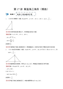 2023中考数学一轮复习专题17解直角三角形(同步练习卷）（通用版）