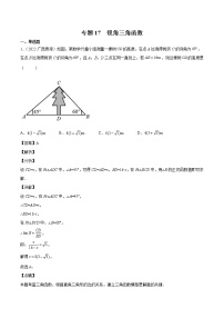 2023年广西中考数学复习专项专练专题17 锐角三角函数(含答案)