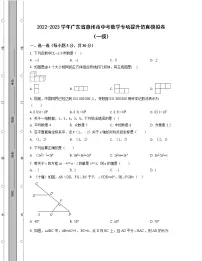 2022-2023学年广东省惠州市中考数学专项提升仿真模拟卷（一模二模）含解析