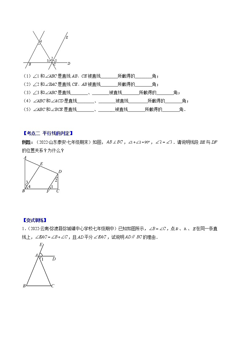 七下数学专题 平行线的判定与性质(考点突破)第2页