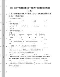 2022-2023学年湖南省郴州市中考数学专项突破仿真模拟试题（一模二模）含解析