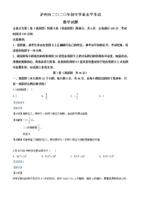 初中数学中考复习 精品解析：四川省泸州市2020年中考数学真题（解析版）
