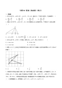 专题06 锐角三角函数（难点）-2022-2023学年九年级数学下册期中期末挑战满分冲刺卷（苏科版，江苏专用）