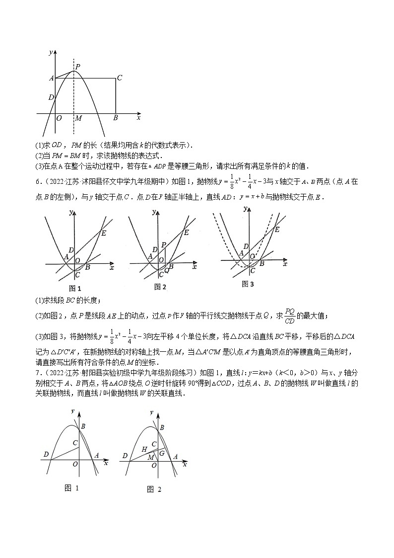 特训02 二次函数解答压轴题-2022-2023学年九年级数学下册期中期末挑战满分冲刺卷(苏科版,江苏专用)02