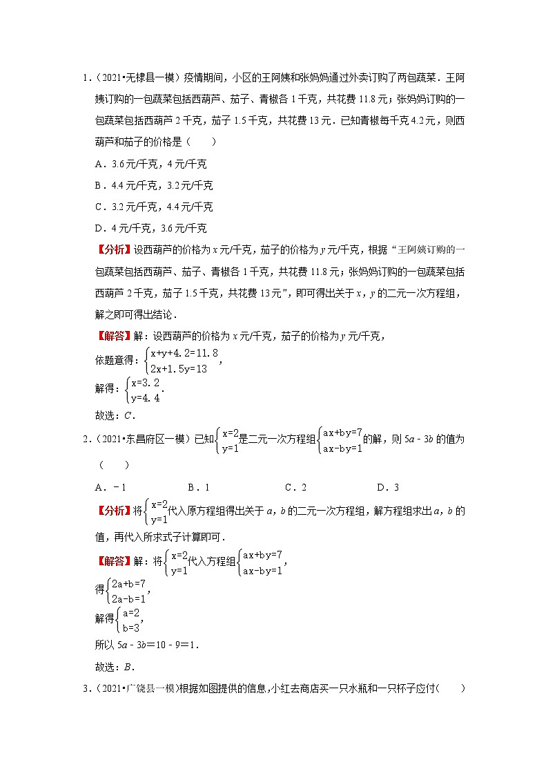 2022-2023 数学鲁教版新中考精讲精练 考点04 一次方程(组)(解析版)第3页