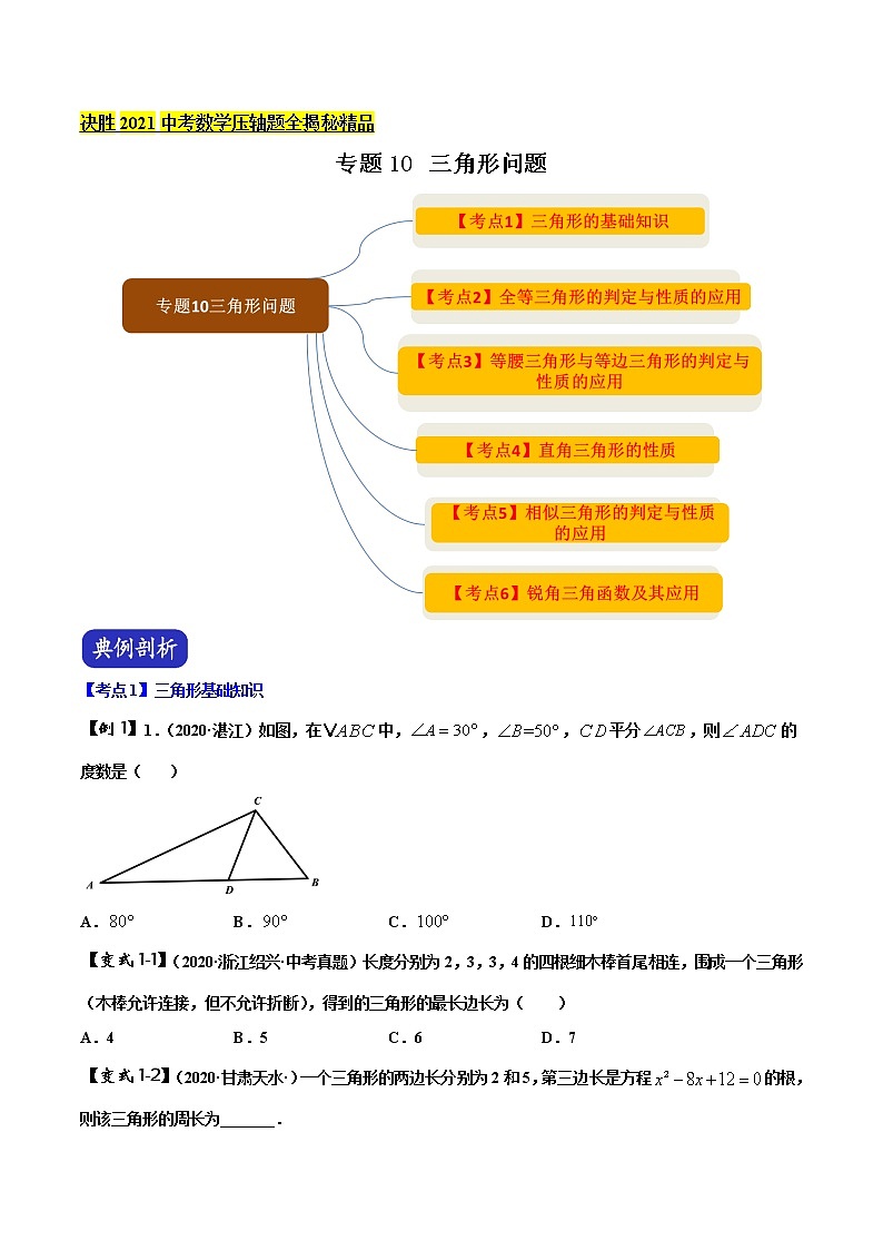 初中数学中考复习 专题10 三角形问题(原卷版)第1页