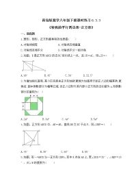 数学八年级下册6.3 特殊的平行四边形精品课时作业