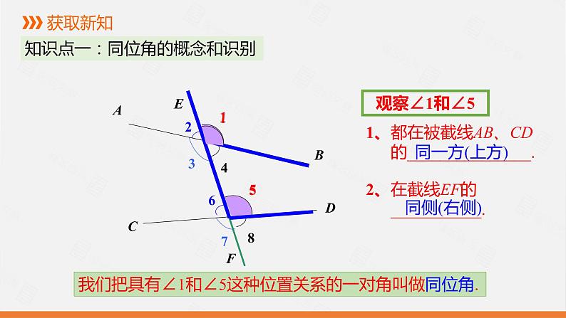 人教版七年级数学下册课件 5.1.3 同位角、内错角、同旁内角第5页