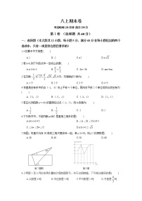 北师大版数学八上期末卷（2）