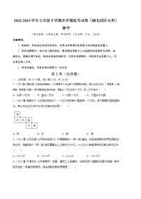 2023年七年级下学期开学考试卷（人教版，湖北武汉专用）（考试版）A4