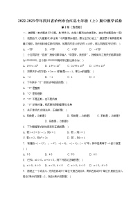 四川省泸州市合江县2022-2023学年七年级上学期期中数学试卷(解析版)