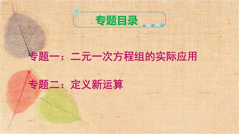 人教版数学七年级下册 第八章 《二元一次方程组》专题 课件第2页