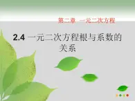 2.4 一元二次方程根与系数的关系(选学) 浙教版八年级数学下册课件