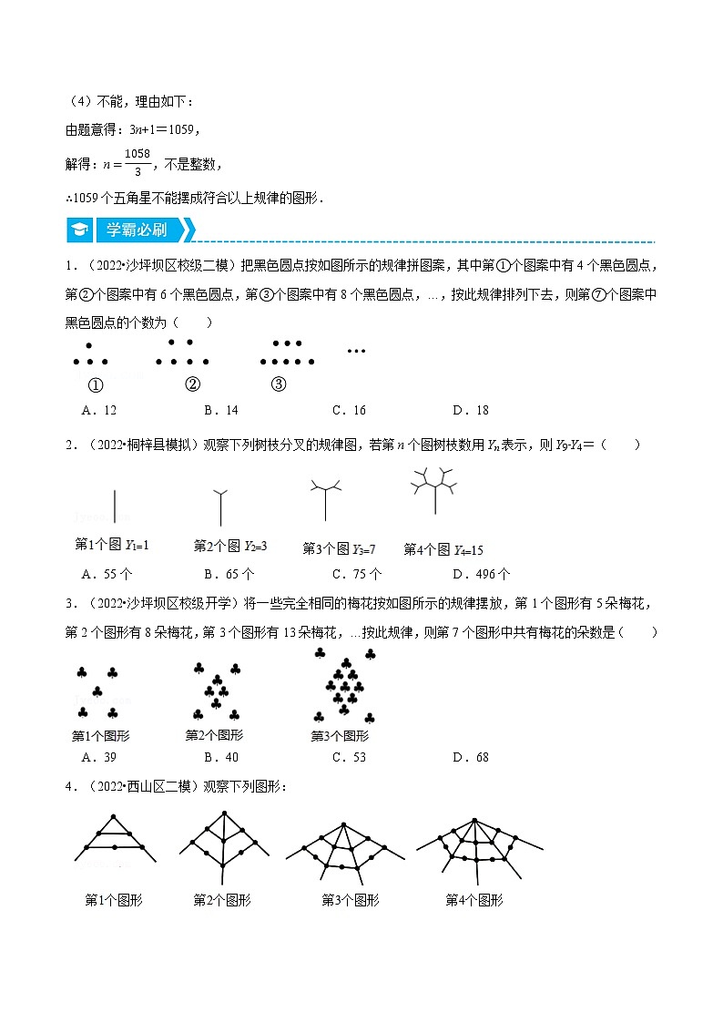 专题3.3 图形变化类规律问题(重点题专项讲练)(北师大版)(原卷版)第2页