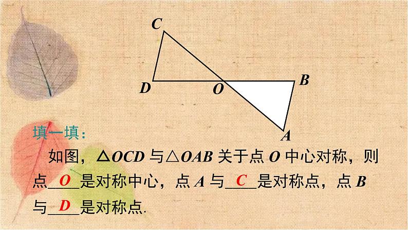 北师大版数学八年级下册 3.3 中心对称 课件第6页