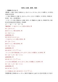 专题14 直线、射线、线段-2022-2023学年初中数学学科素养能力培优竞赛试题精选专练