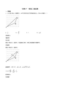 2023年中考数学复习专项专练专题17 锐角三角函数及答案(四川版)