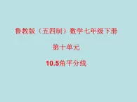 鲁教版（五四制）数学七年级下册 第十单元 10.5角平分线 课件