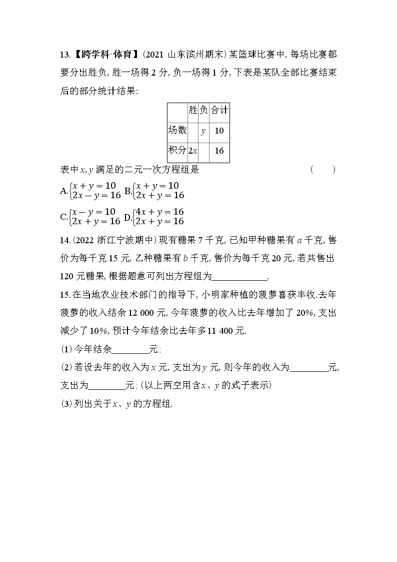 7.1 二元一次方程组和它的解 华东师大版七年级数学下册同步练习(含解析)03