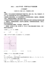 广东省梅州市丰顺县丰顺中学2022-2023学年八年级上学期学业水平质量检测数学考（含答案）