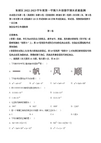 天津市东丽区2022-2023学年八年级上学期数学期末试题(含答案)