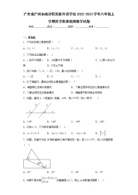 广东省广州市南沙区实验外语学校2022-2023学年八年级上学期开学质量检测数学试题（含详细答案）