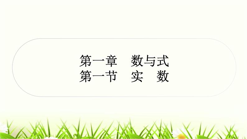 中考数学复习第一章数与式第一节实数作业课件01
