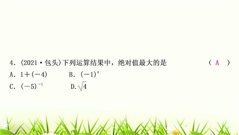 中考数学复习第一章数与式第一节实数作业课件05