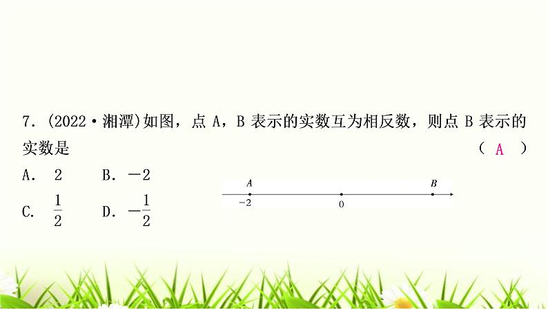 中考数学复习第一章数与式第一节实数作业课件08