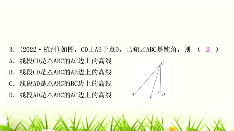 中考数学复习第四章三角形第二节一般三角形及其性质作业课件04