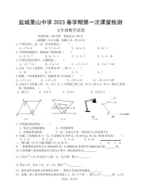 江苏省盐城市景山中学 2022-2023学年七年级下学期第一次课堂检测（月考）数学试卷