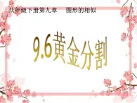 泰山区泰山实验中学2023年八年级第二学期9.6  黄金分割课件PPT