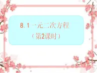 泰山区泰山实验中学2023年八年级第二学期8.1估算求一元二次方程的根（第二课时）课件PPT