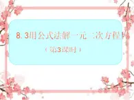 泰山区泰山实验中学2023年八年级第二学期8.3 用公式法解一元二次方程（第3课时）课件PPT