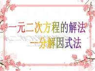 泰山区泰山实验中学2023年八年级第二学期8.4《用分解因式法解一元二次方程》课件