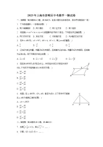 2023年上海市崇明区中考数学一模试卷(含解析)