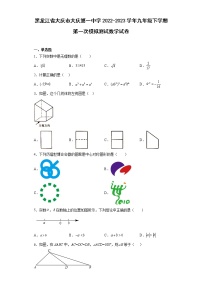 黑龙江省大庆市大庆第一中学2022-2023学年九年级下学期第一次模拟测试数学试卷