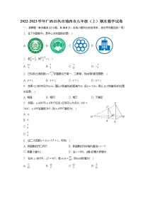 2022-2023学年广西百色市靖西市九年级(上)期末数学试卷(含解析)