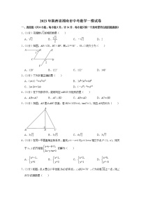 2023年陕西省渭南市中考数学一模试卷(含答案)
