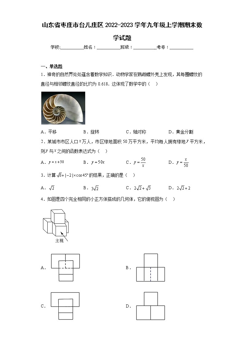 山东省枣庄市台儿庄区2022-2023学年九年级上学期期末数学试题(含详细答案)第1页