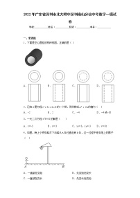 2022年广东省深圳市北大附中深圳南山分校中考数学一模试卷(含答案)