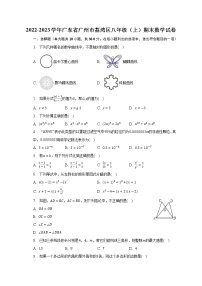 广东省广州市荔湾区2022-2023学年八年级上学期期末数学试卷（含答案）