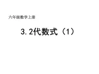 鲁教版六年级上课册数学3.2代数式（1）课件PPT