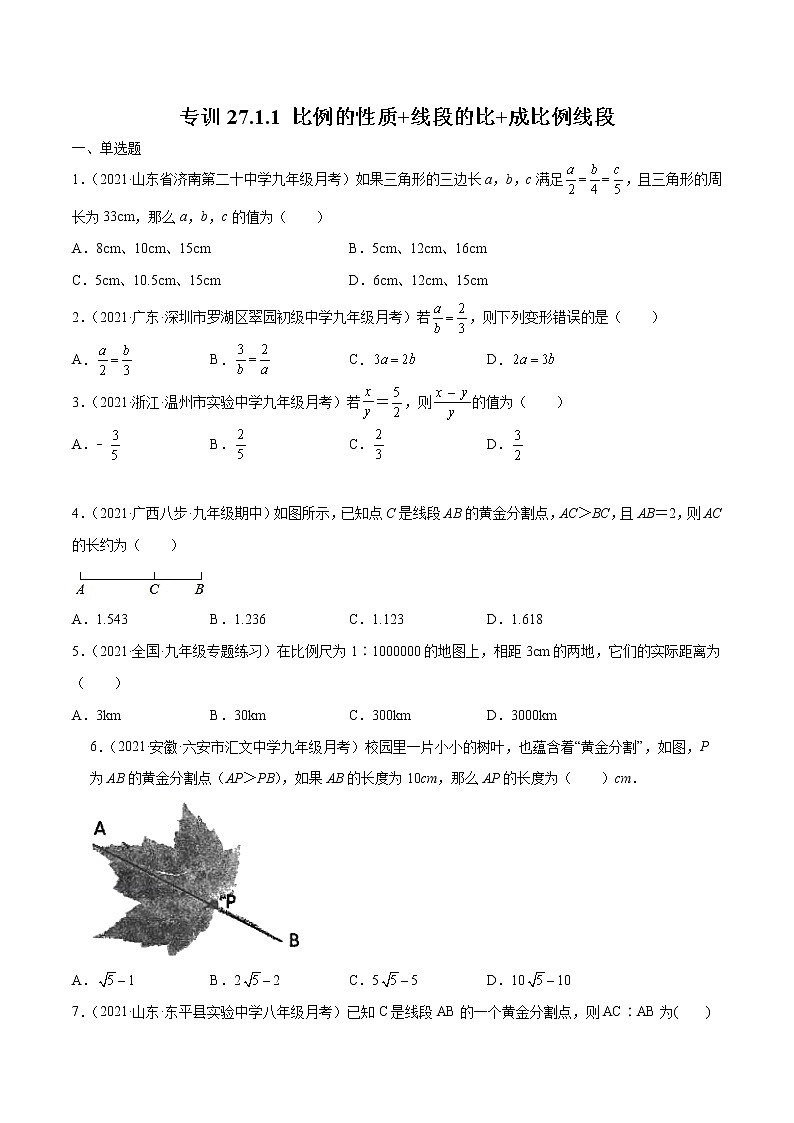 专训27.1.1 比例的性质+线段的比+成比例线段-简单数学之九年级下册考点专训(人教版) 试卷01