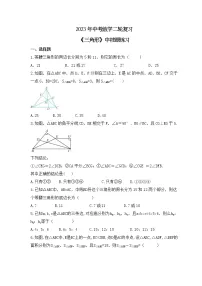 2023年中考数学二轮复习《三角形》中档题练习(含答案)