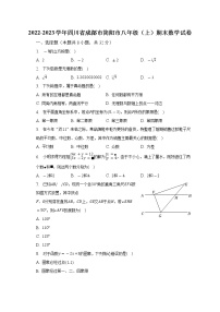 2022-2023学年四川省成都市简阳市八年级（上）期末数学试卷（含解析）