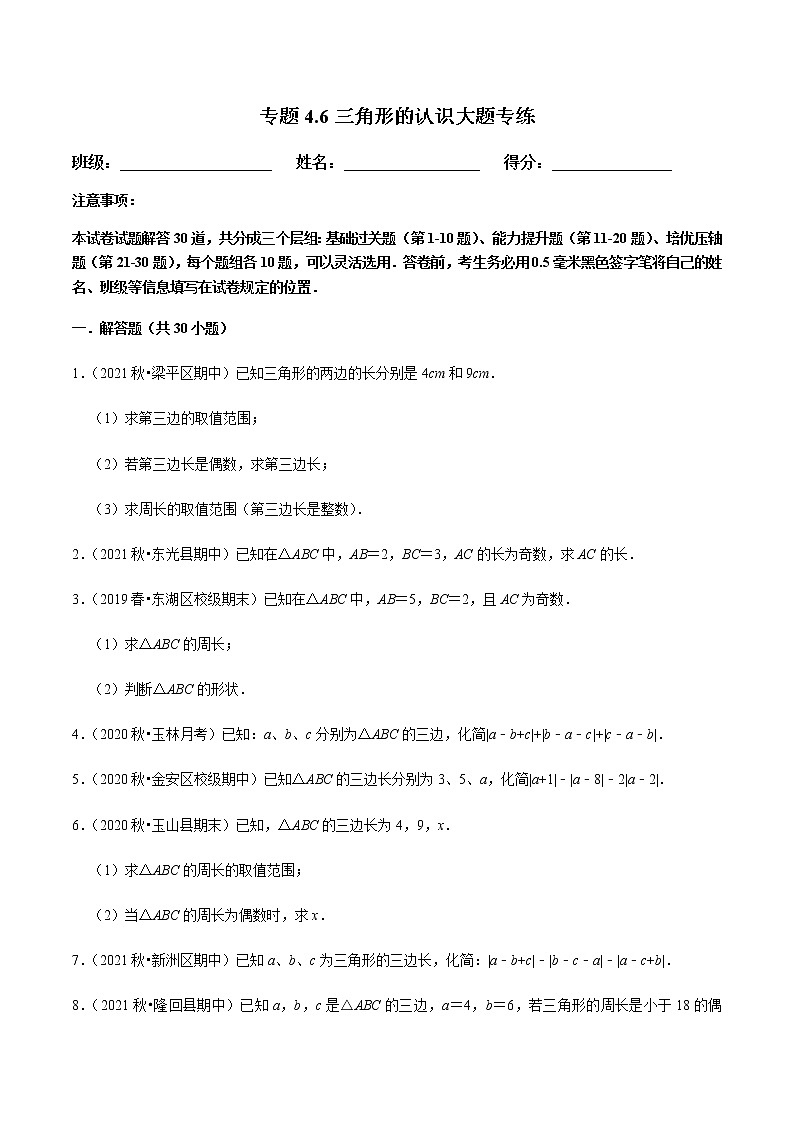 专题4.6三角形的认识大题专练(原卷版)第1页