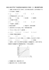 2022-2023學(xué)年廣東省茂名市高州市八年級(jí)(上)期末數(shù)學(xué)試卷(含解析)