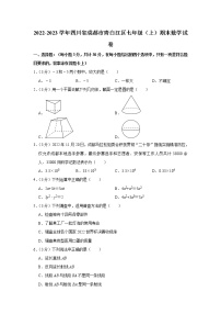 四川省成都市青白江区2022-2023学年七年级上学期期末数学试卷（含答案）